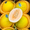 金蛋小甜瓜，炫到停不下来🍈 这瓜简直是秋冬限定的宝藏咬上一口，脆嫩的瓜肉在齿间爆开，汁水如蜜般四溢，甜度轻松飙到 18°+，满满的甜蜜冲击着味蕾 商品缩略图0