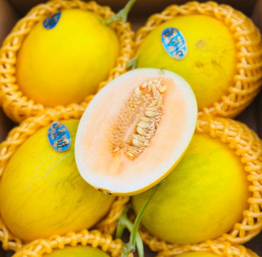 金蛋小甜瓜，炫到停不下来🍈 这瓜简直是秋冬限定的宝藏咬上一口，脆嫩的瓜肉在齿间爆开，汁水如蜜般四溢，甜度轻松飙到 18°+，满满的甜蜜冲击着味蕾 商品图0