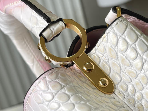 秋冬特惠💰1430 渠道级LV 新品 te级LV N93163/M48865白拼鳄鱼纹 商品图7