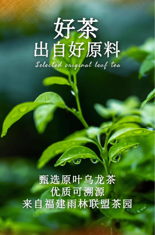 【11.24好物神价】Lipton立顿水果茶茉莉花茶柠檬片白桃乌龙茶玫瑰花三角茶包调味茶*2（随机2味） 商品图3