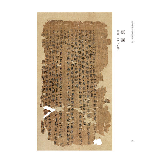 全2册 马王堆汉墓出土医书十六种（上下册）葛金文 罗健 涵盖了中医基础理论诊断妇科儿科五官科方药等多个学科 人民卫生出版社 商品图4