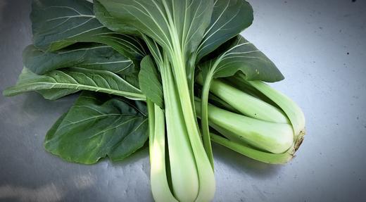 老品种青菜400g~农场现摘现发 商品图3