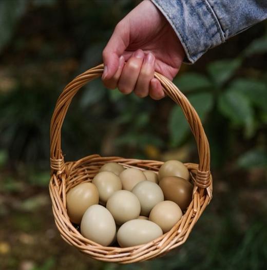 【贵州高山七彩野鸡蛋】冠天骄🥇七彩野鸡蛋🥚 鸡蛋还是【野】的好！ 商品图0