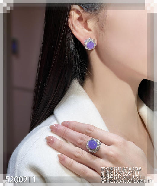 紫蛋套装【5200211】具体价格微信咨询 商品图4