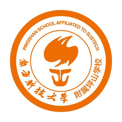 通版深圳市南方科技大学附属坪山学校校徽姓名贴章可缝烫现货发51 商品图1