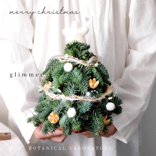 20cm 丹麦诺贝松圣诞树-小雪球 （全国快递） 商品图2