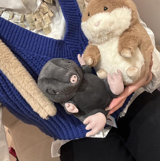 豚鼠界的巨星!高迪豚鼠112101 商品图9