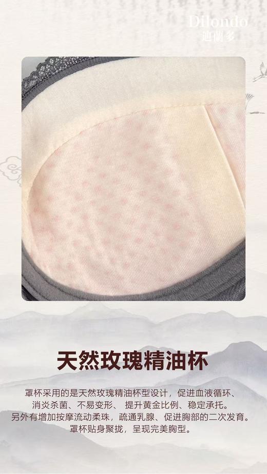 迪兰多玫瑰精油调整型文胸侧收承托聚拢小胸A升C2118471 商品图8