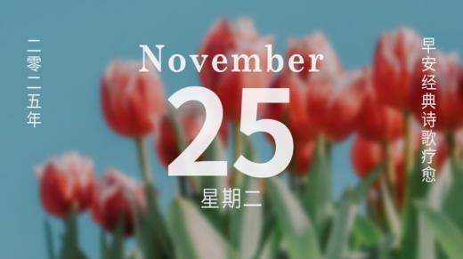 一起感恩此时此刻我们所拥有的。 商品图0