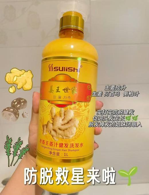 【姜疗世家全系列】洗发水护发素按摩膏 商品图4