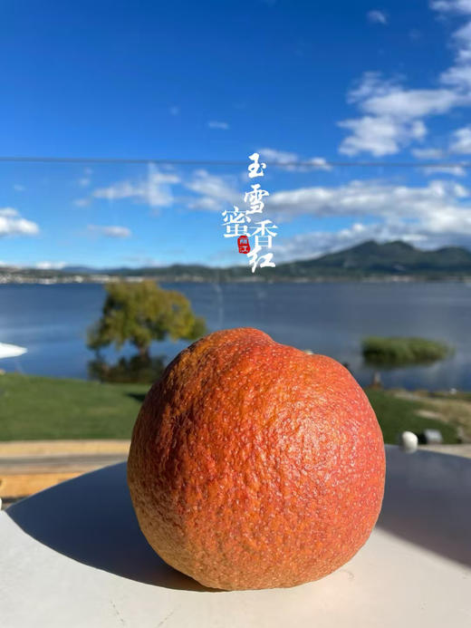 瑞雪蜜香红丽江木梨（礼盒6-8枚装） 商品图13