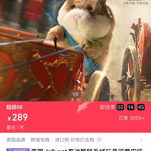 豚鼠界的巨星!高迪豚鼠112101 商品图0