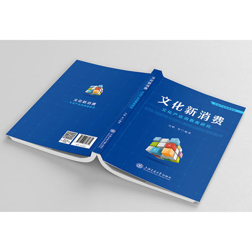 文化新消费：文化产业消费者研究 商品图1