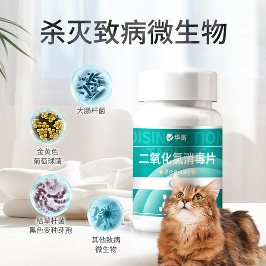 华畜二氧化氯泡腾片消毒片鱼缸专用水产养殖鲜花液杀菌净水观赏鱼 商品图1