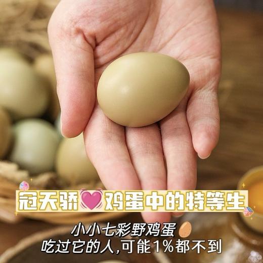 【贵州高山七彩野鸡蛋】冠天骄🥇七彩野鸡蛋🥚 鸡蛋还是【野】的好！ 商品图2