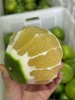 【青悦柚】青悦是青媛的升级版，比青媛口感更鲜嫩，甜度更高，也更多汁呢！福建漳州南靖发货，顺丰、0-5°发泡沫箱、-5--15发泡沫箱+保温袋、-15°以下不建议下单 （冻伤不售后） 商品缩略图8