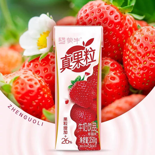 蒙牛真果粒草莓味牛奶酸奶饮品 商品图0