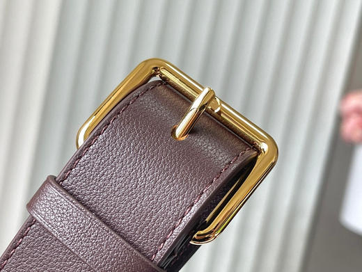 秋冬特惠💰1600 渠道级LV 新品 te级LV 动态芯片 M12927/M48865Souple棕啡 本款Capucines Souple手袋 商品图5