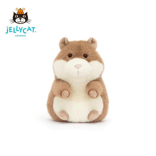 豚鼠界的巨星!高迪豚鼠112101 商品图7