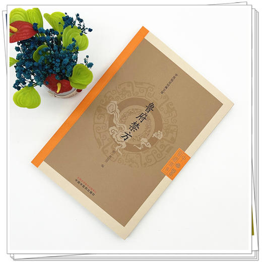 鲁府禁方（中医临证经典文库）（明）龚廷贤 编 中国中医药出版社 明清中医临证小丛书 古典医籍 书籍 商品图1