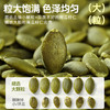 南瓜子仁熟原味南瓜子低温烘焙大颗粒饱满内蒙古休闲零食袋装250g 商品缩略图2