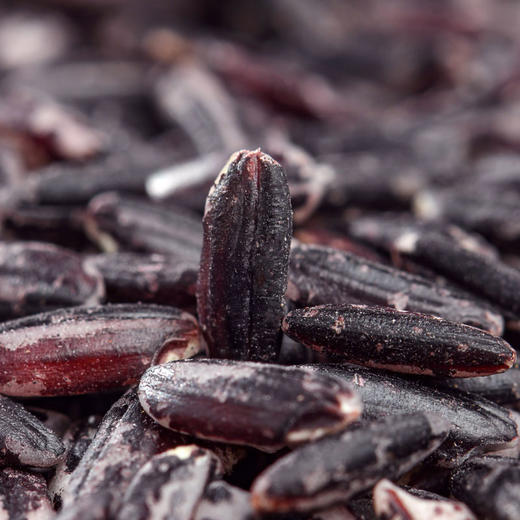 云南有机紫米 500g/盒 普通装/礼盒装 商品图3