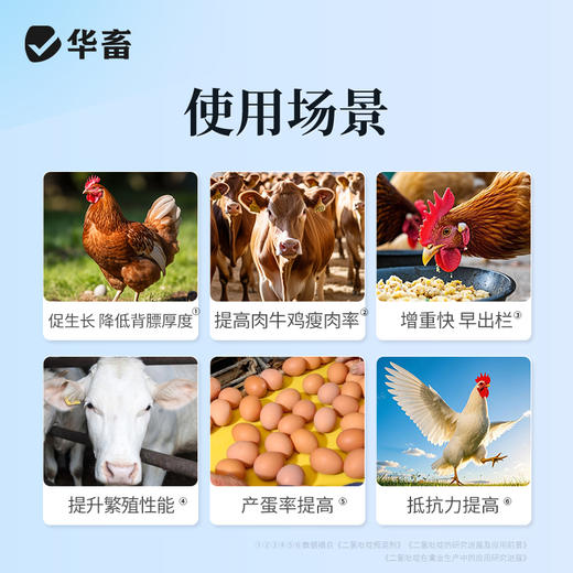 【积分兑换】华畜国标兽药5%二氢吡啶预混剂1kg促生长提高饲料利用率 商品图2