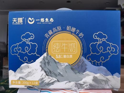 天露酸奶/高原娟姗奶系列 商品图4