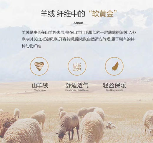 🏆100%纯山羊绒！鄂尔多斯工厂直出❗️金标❗️【女士半高领修身坑条打底衫】集团亏清 本团1折不到！要高货的看过来！✅金标水洗唛，无缝一体成衣设计！礼盒包装！✅半高领领型！秋冬顶好搭的款式！ 商品图5