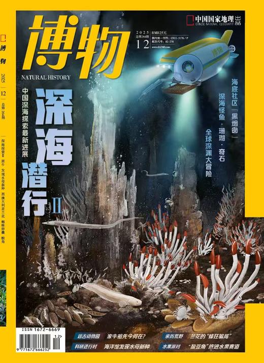 【深海潜行2】 博物杂志2025年12期/月刊  自然月历·珠海篇/西藏波密的大紫胸鹦鹉 商品图1