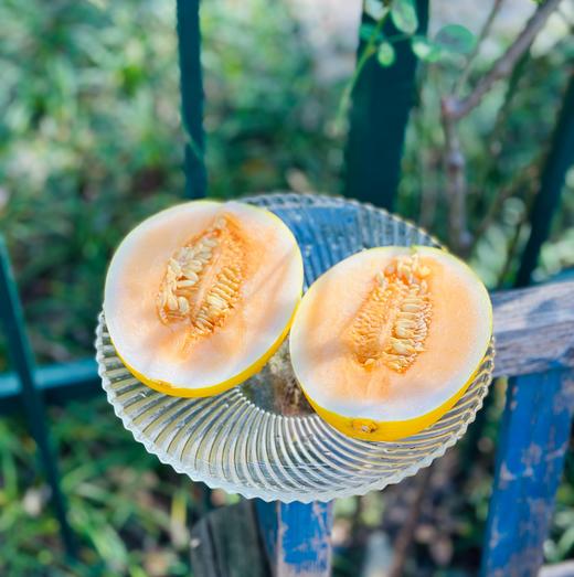 金蛋小甜瓜，炫到停不下来🍈 这瓜简直是秋冬限定的宝藏咬上一口，脆嫩的瓜肉在齿间爆开，汁水如蜜般四溢，甜度轻松飙到 18°+，满满的甜蜜冲击着味蕾 商品图4