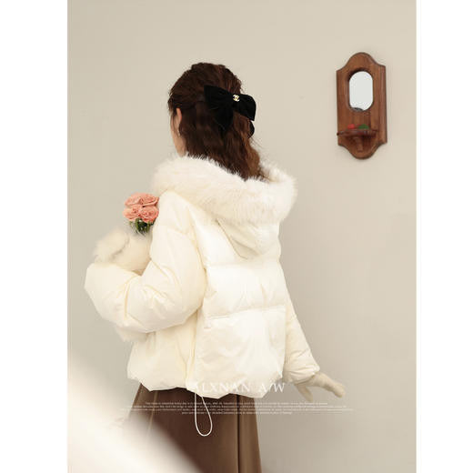 鹿向南「昆仑煮雪」新中式羽绒服新款90白鸭绒外套2025冬季外套女 商品图3