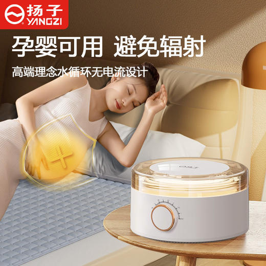 扬子水暖电热毯单人家用水循环双人炕新款水热毯床垫不上火水暖毯 商品图0