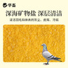 华畜百草鸽浴盐鸽子洗澡专用除味赛鸽鹦鹉鸟类养殖用虱子螨虫体外 商品缩略图2