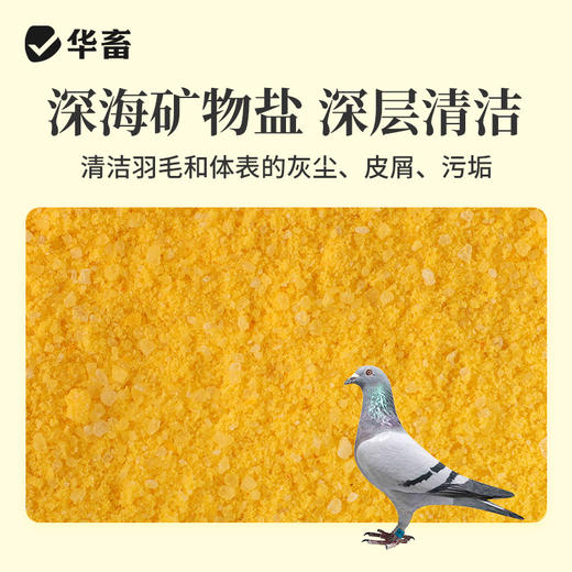 华畜百草鸽浴盐鸽子洗澡专用除味赛鸽鹦鹉鸟类养殖用虱子螨虫体外 商品图2