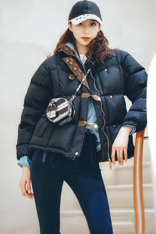 驴家 25秋冬新款 老花内里立领羽绒服外套(TM) 商品图4