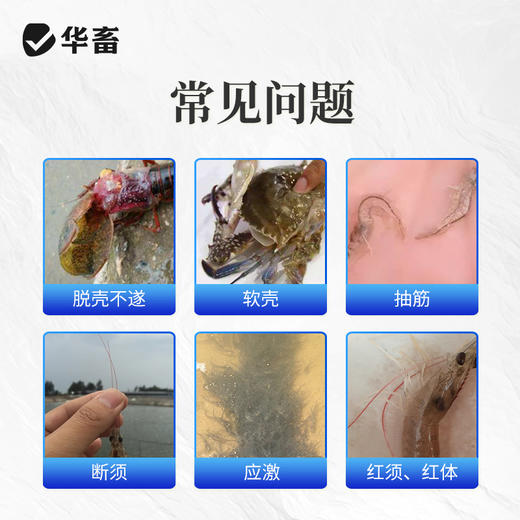 【积分兑换】华畜微矿速补微量元素矿物质 小龙虾补钙 硬壳宝 商品图1