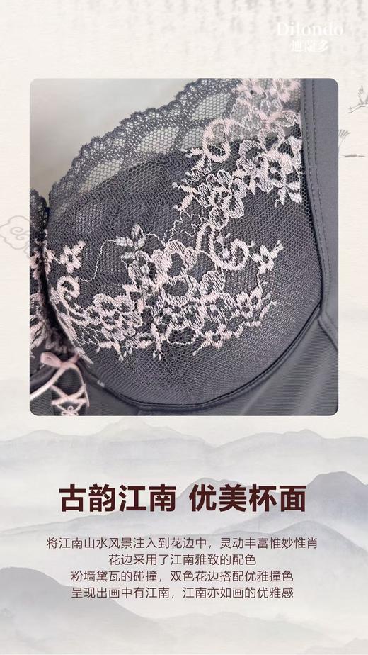 迪兰多玫瑰精油调整型文胸侧收承托聚拢小胸A升C2118471 商品图10