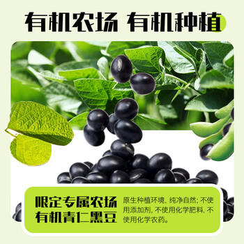 北大荒有机黑豆纯豆浆粉200g（20g*10）高蛋白0添加营养早餐冲饮孕妇 商品图3