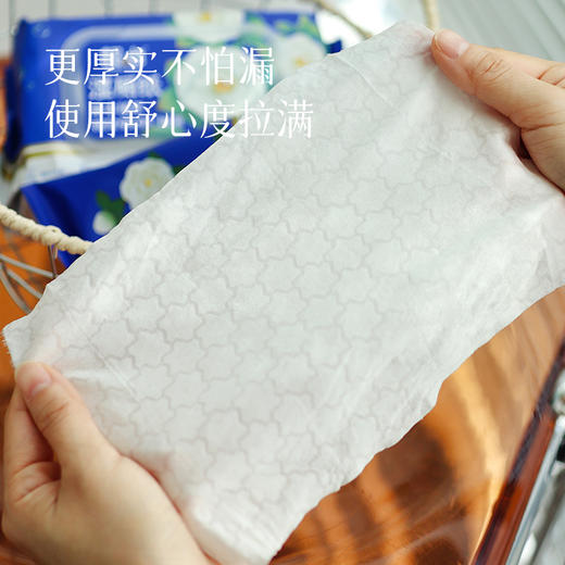 【湿厕纸】湿擦不易掉絮   擦除99.9%细菌 直接扔马桶可冲散 预售5天 商品图1