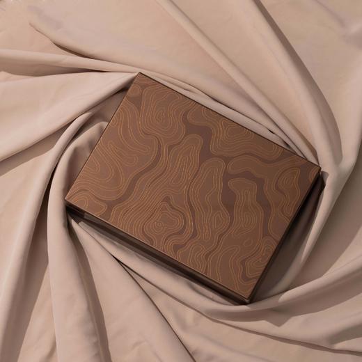 鸿韵【10合金罐 咖色】138元一套/10套一箱 商品图3