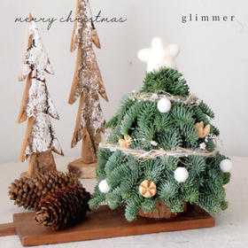 20cm 丹麦诺贝松圣诞树-小雪球 （全国快递）