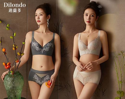 迪兰多玫瑰精油调整型文胸侧收承托聚拢小胸A升C2118471 商品图0