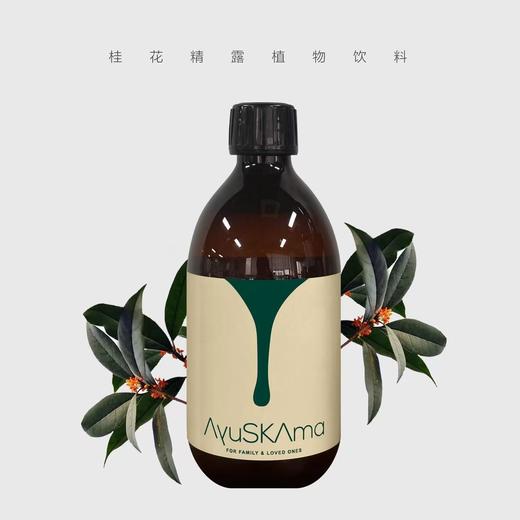 猫太推荐 ---AyuSkAma桂花精露植物饮料 商品图0