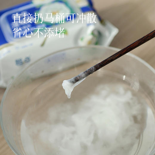 【湿厕纸】湿擦不易掉絮   擦除99.9%细菌 直接扔马桶可冲散 预售5天 商品图2