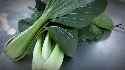 老品种青菜400g~农场现摘现发 商品图1