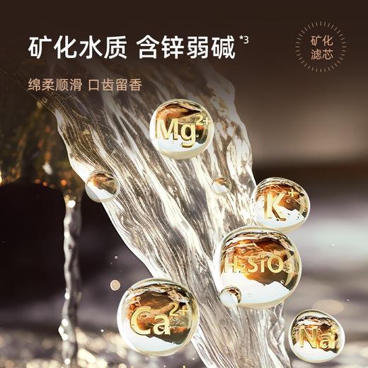 【普象专属】贝昂RO反渗透弱碱富氢净水净饮机T-R100 商品图2