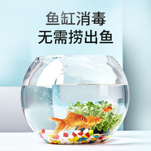 华畜二氧化氯泡腾片消毒片鱼缸专用水产养殖鲜花液杀菌净水观赏鱼 商品图2