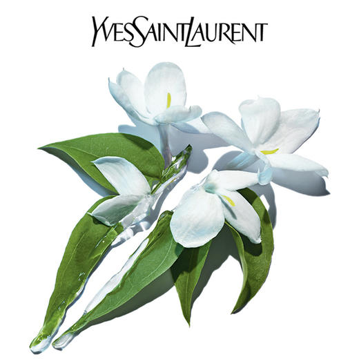 法国 YSL圣罗兰 夜皇后温和洗面奶 125ml 商品图4