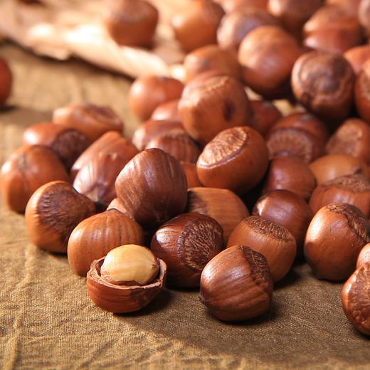 优选|东北野生手拍榛子  个大饱满  醇香丝滑  500g/袋  送夹子 商品图2